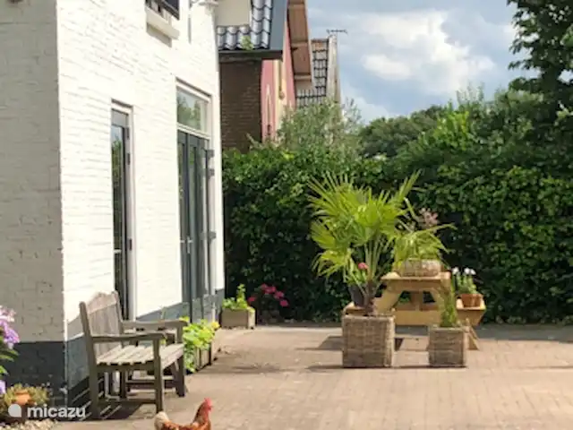 Location de Vacances Pays-Bas, Drenthe, Tynaarlo, chambres d'hôtes - Remise de Villadelfia Un œuf frais tous les jours, si vous le souhaitez.