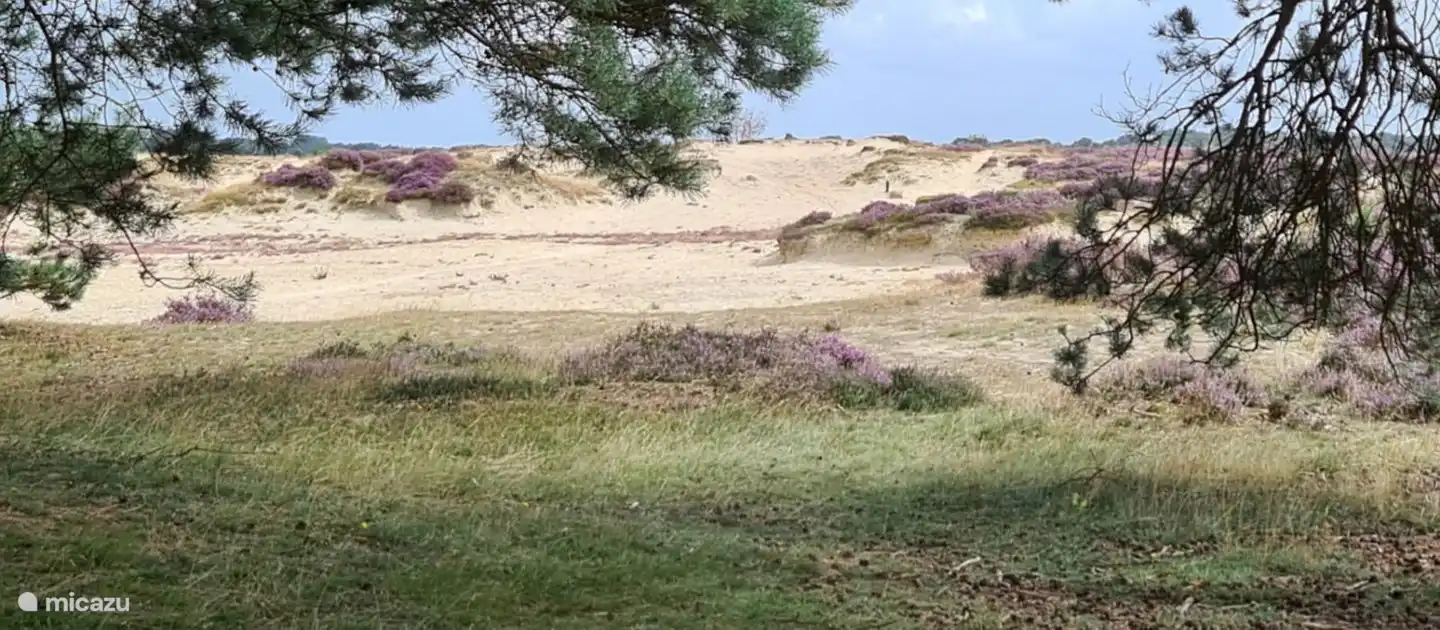 Im Bereich. Ein Foto eines Gastes.