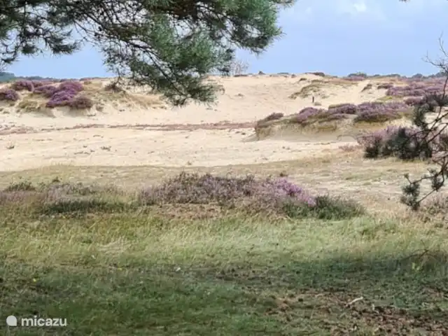 Location de Vacances Pays-Bas, Drenthe, Tynaarlo, chambres d'hôtes - Remise de Villadelfia Dans la zone. Une photo d'un invité.