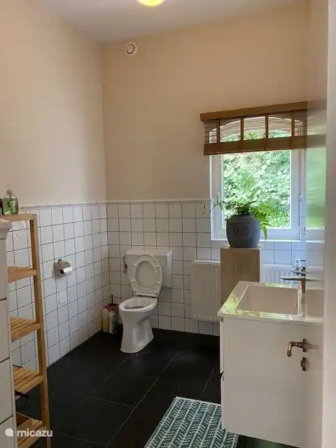 Geräumige Toilette