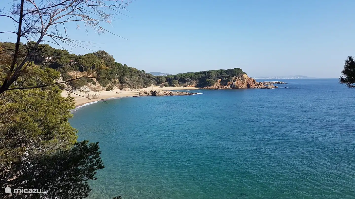 Plage de Sa Conca à 20 minutes à pied