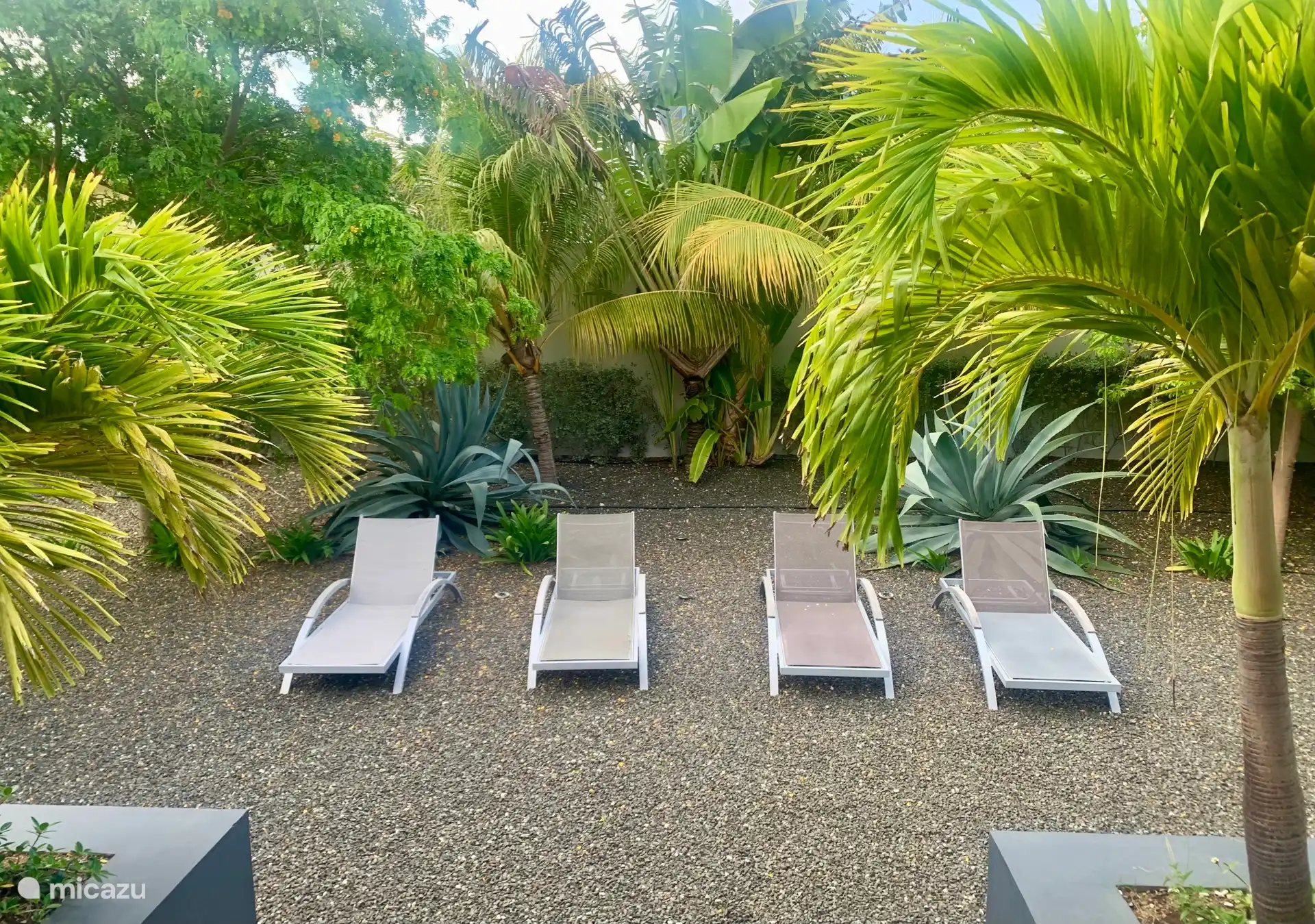 Unter den Palmen im tropischen Garten liegen ??