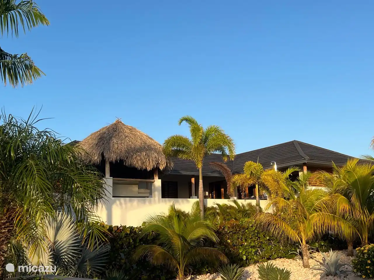 Ist es nicht ein Bild?