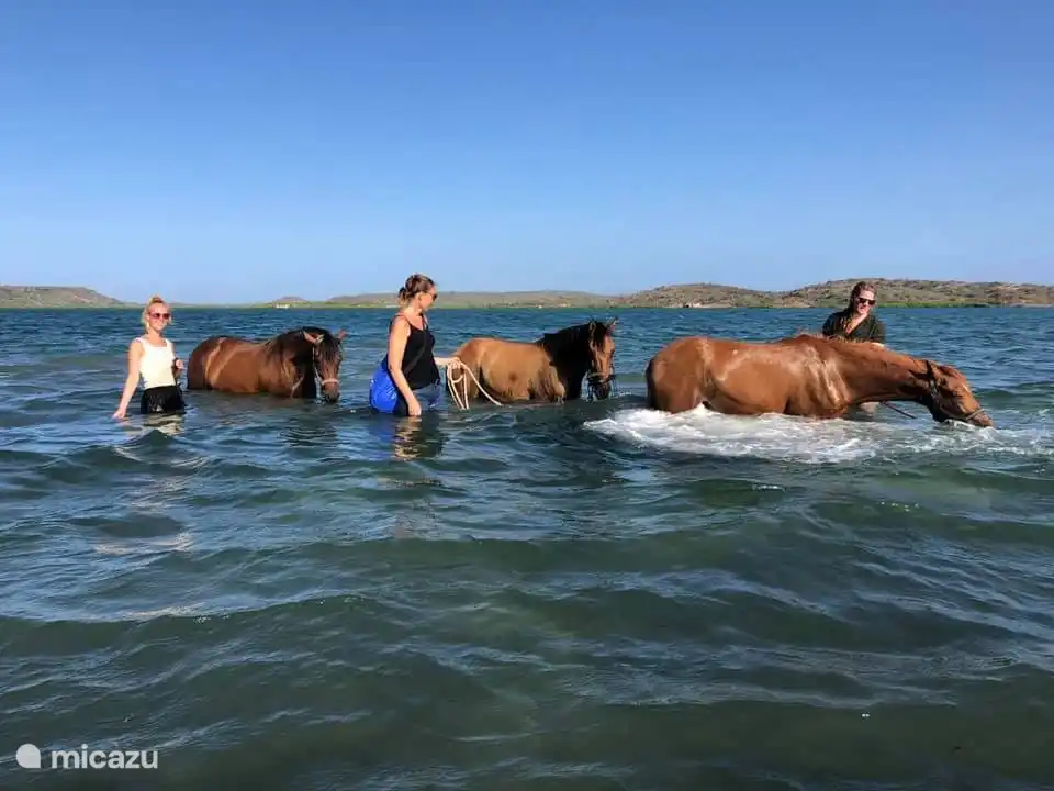 Abenteuer für die ganze Familie