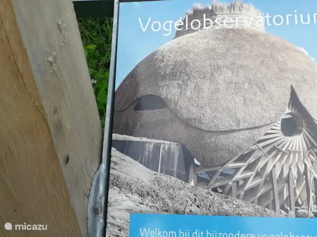 Onderdemolen en Países Bajos, Holanda Meridional, Stellendam - bungaló
