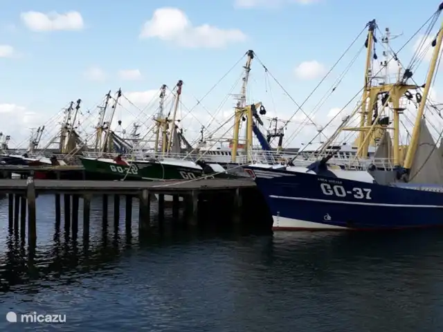 Onderdemolen en Países Bajos, Holanda Meridional, Stellendam - bungaló