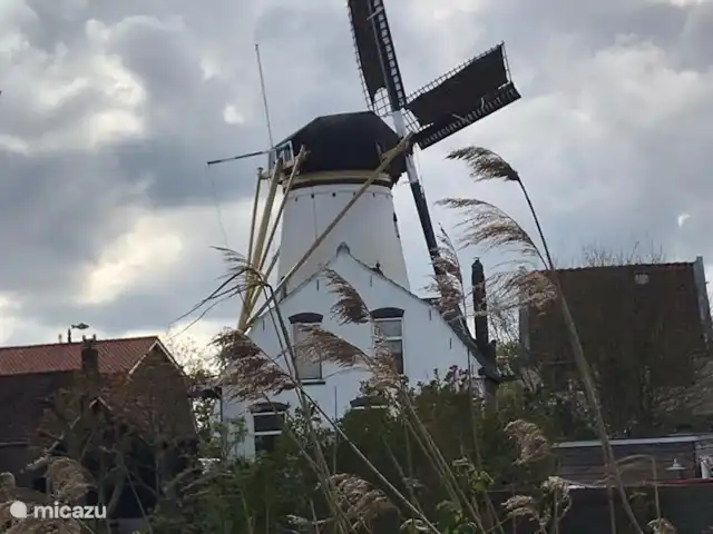 Onderdemolen en Países Bajos, Holanda Meridional, Stellendam - bungaló