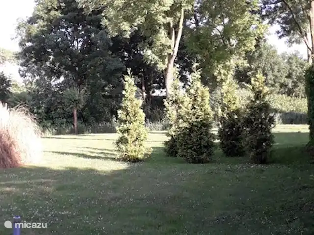 Onderdemolen en Países Bajos, Holanda Meridional, Stellendam - bungaló