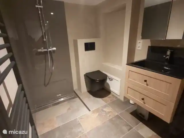 Grande maison de plage familiale, grand jardin | Pays-Bas, Hollande méridionale, La Haye - maison mitoyenne Salle de bain sous-sol