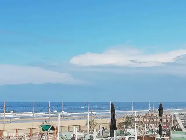 Grande maison de plage familiale, grand jardin | Pays-Bas, Hollande méridionale, La Haye - maison mitoyenne L'agréable boulevard + plage est à 250 mètres à pied