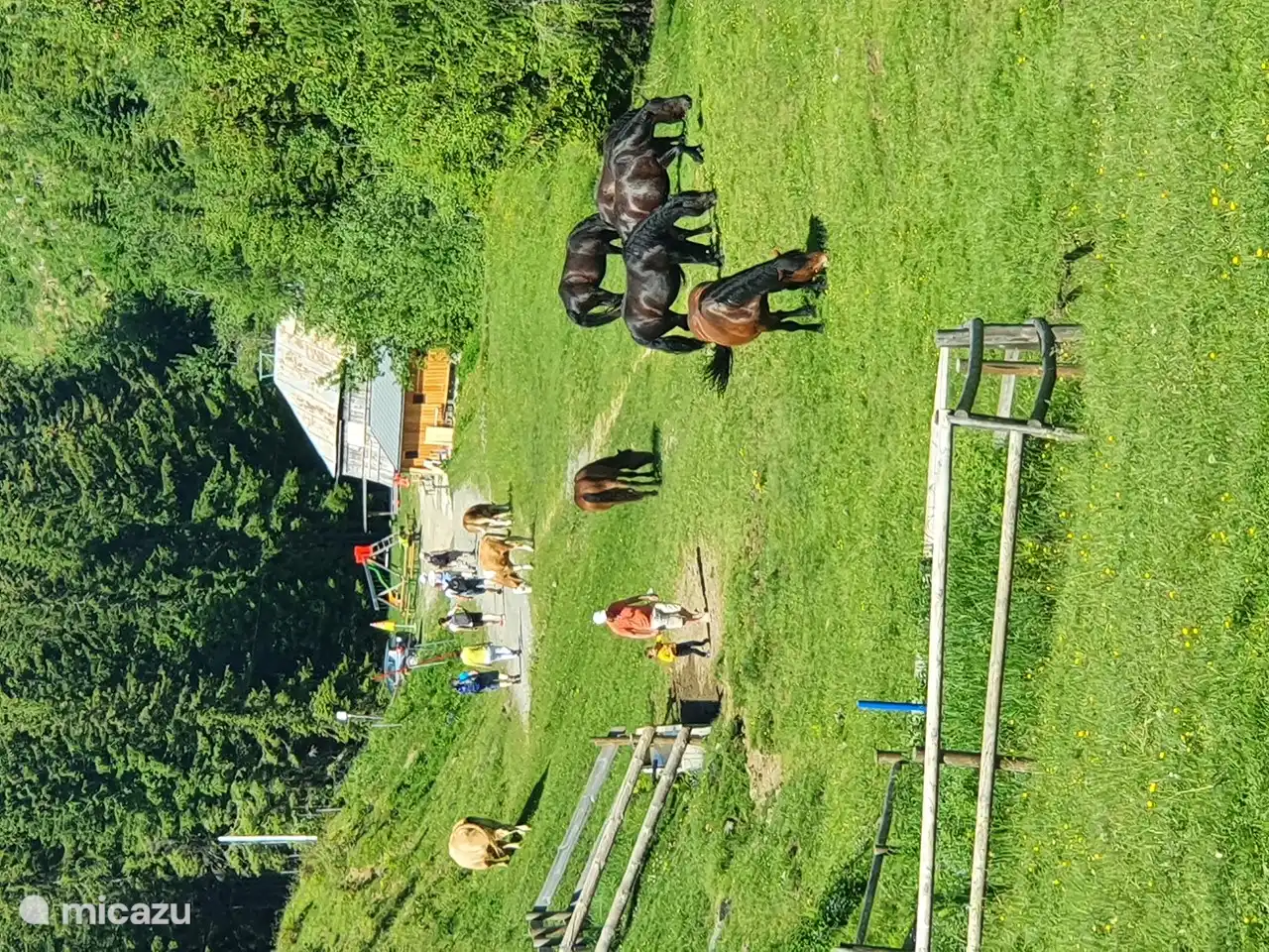 L'été, au sommet du Dreilandereck, avec de nombreux sentiers de randonnée