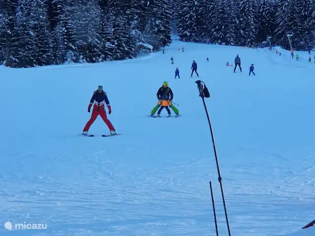 Berghaus Edelhirsch | Autriche, Carinthie, Arnoldstein - chalet Plaisir du ski