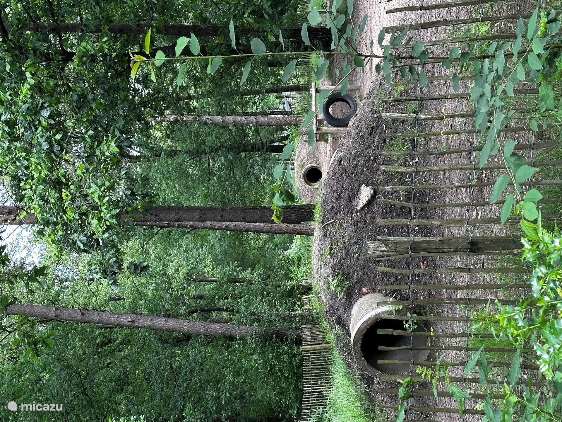 Hundespielplatz des Parks