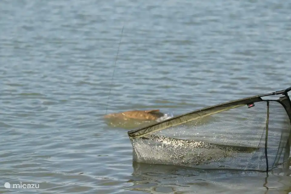 Mieten Sie eine Badestelle oder verwandeln Sie das Deck in einen Karpfenplatz (falls verfügbar und gegen Gebühr, einschließlich Materialien)