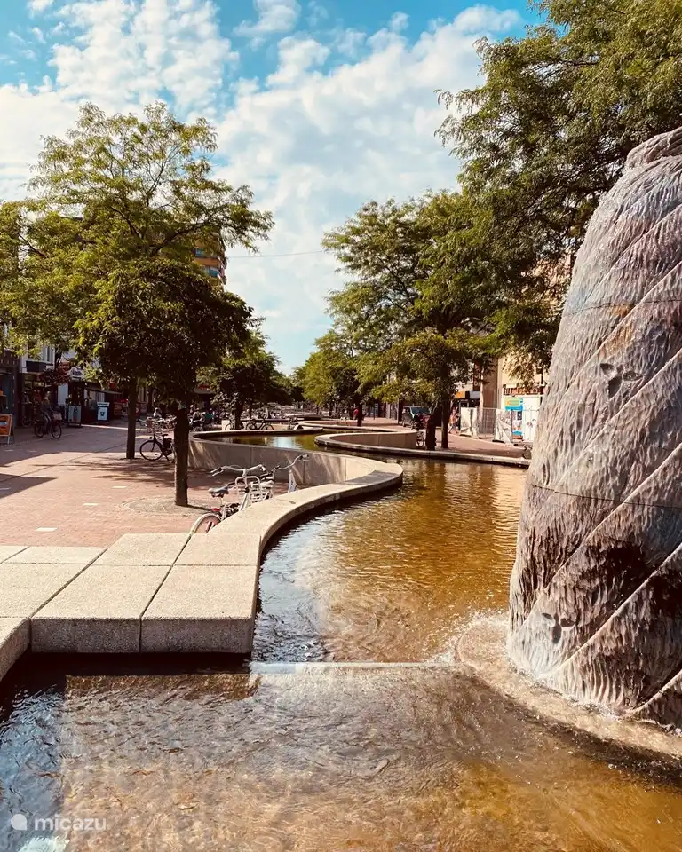 Umgebung: Das Zentrum von Hoogeveen ist einen Besuch wert. Shops, reichlich Gastronomie, Kino, Bowling, Escape Room, Theater, Flughafen mit Fallschirmsprung möglich, Indoorspiele im Zippa Zebra, Hallenbad De Dolfijn