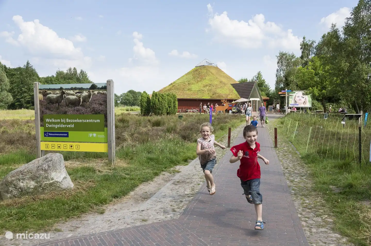 Dwingelderveld-Nationalpark. Tipp beginnt beim Besucherzentrum der Naturdenkmäler. Mit Kindern? Spielen Sie das Naturspiel Drenthe. Wanderer? Zu Fuß 15 km Foodsteps von Drenthe Hikes