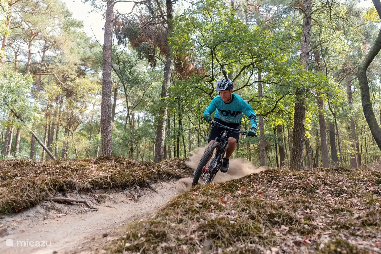 Giant Track Boswachterij Ruinen bietet einen sehr anspruchsvollen Kurs. In der Nähe und in Hoogeveen können Mountainbikes gemietet werden. Anspruchsvoll sind auch die MTB-Strecken Zuidwolde und Havelte. Oder erklimmen Sie den VAMberg, einen harten Anstieg.
