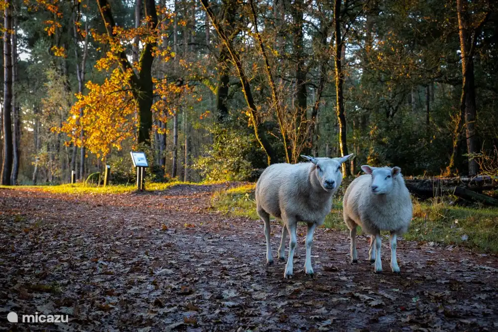 Wandern in Nationalparks