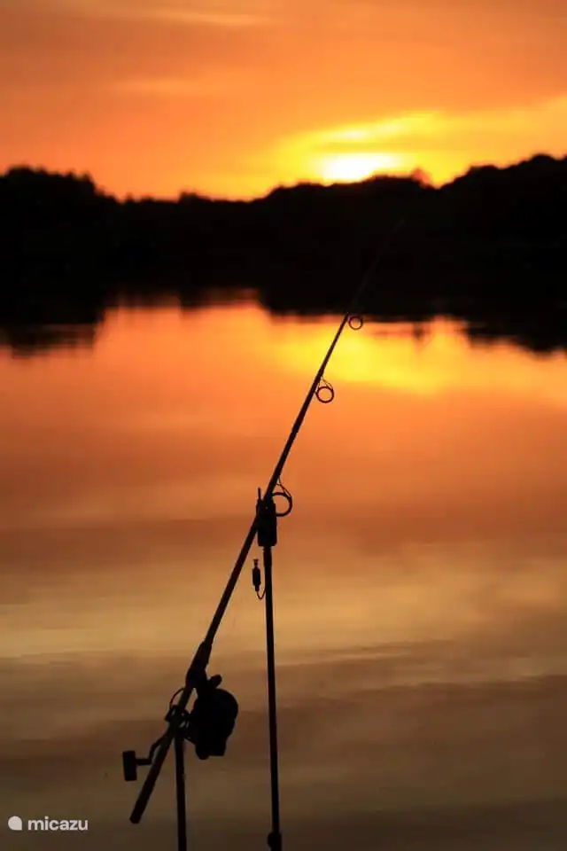Karpfenangeln vom Deck am Haus gegen Gebühr inkl. Material