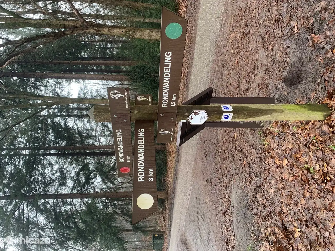 Ausgangspunkt Wanderung Ruinerweg, Ruinen