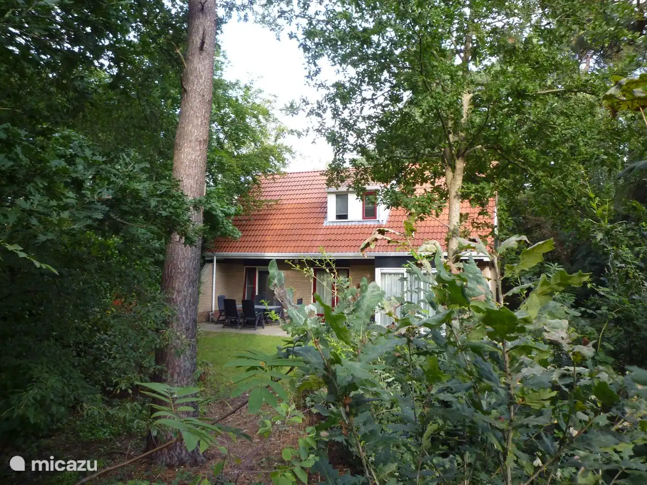 Ein Blick aus dem Hinterhof