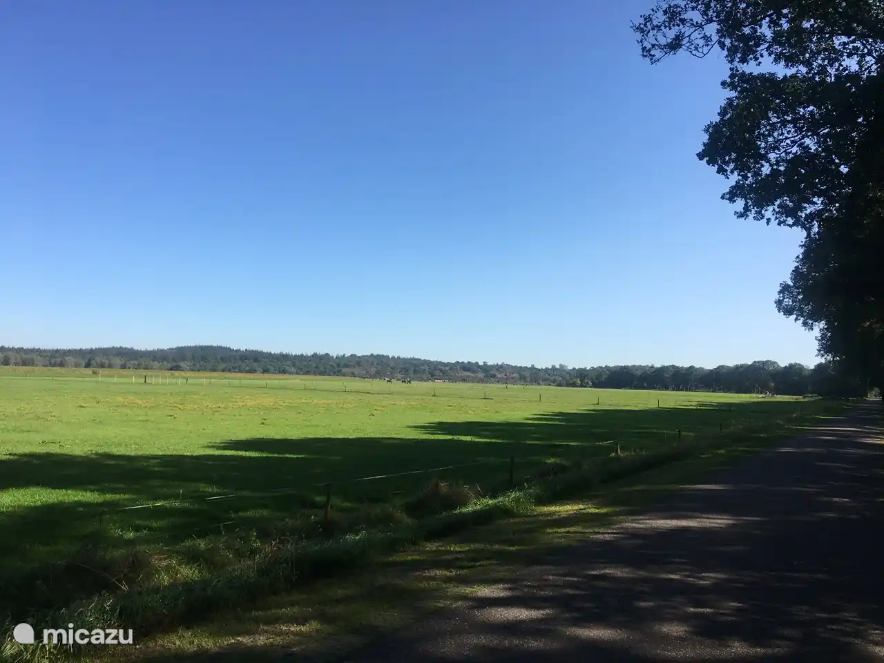 Blick auf den Lemelerberg
