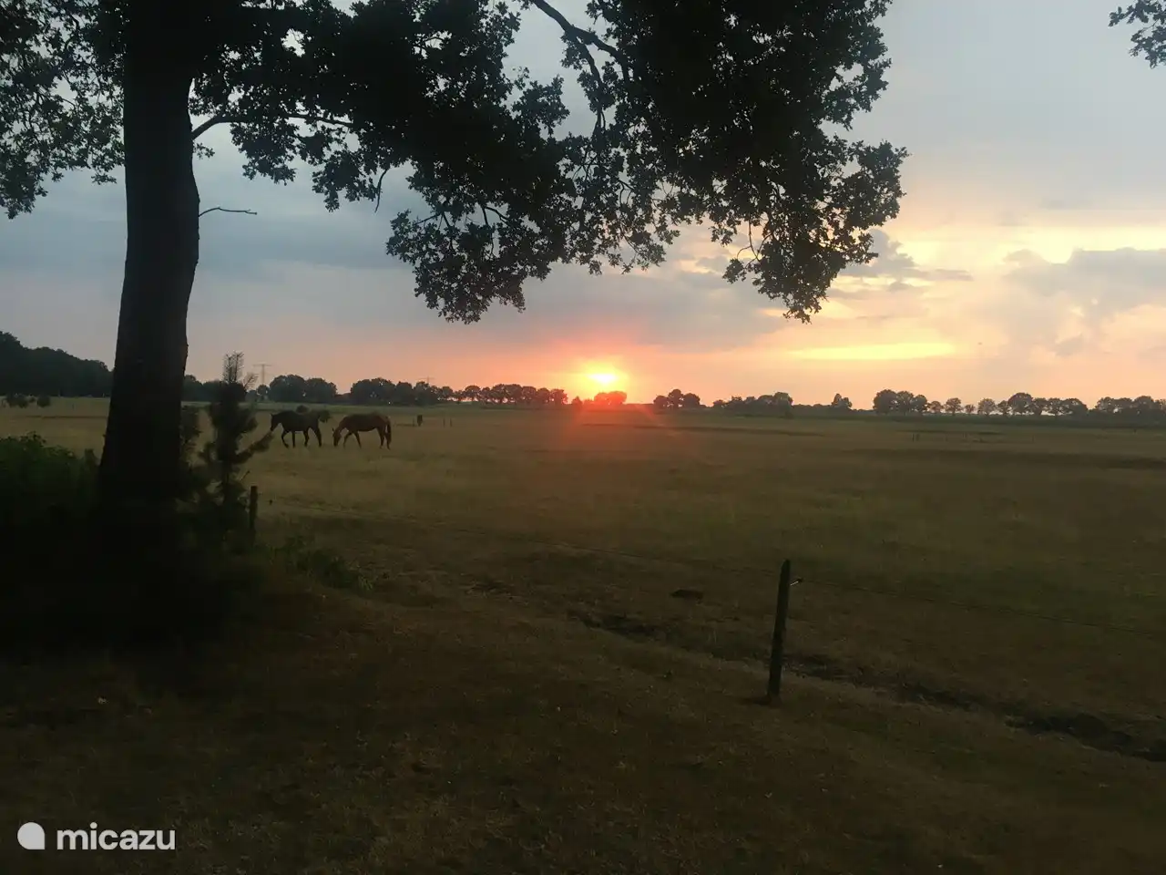 Untergehende Sonne, aufgenommen aus dem Park
