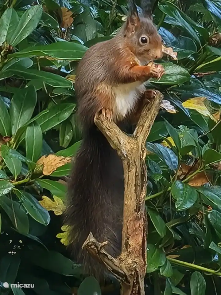 Nur ein Tag im Garten