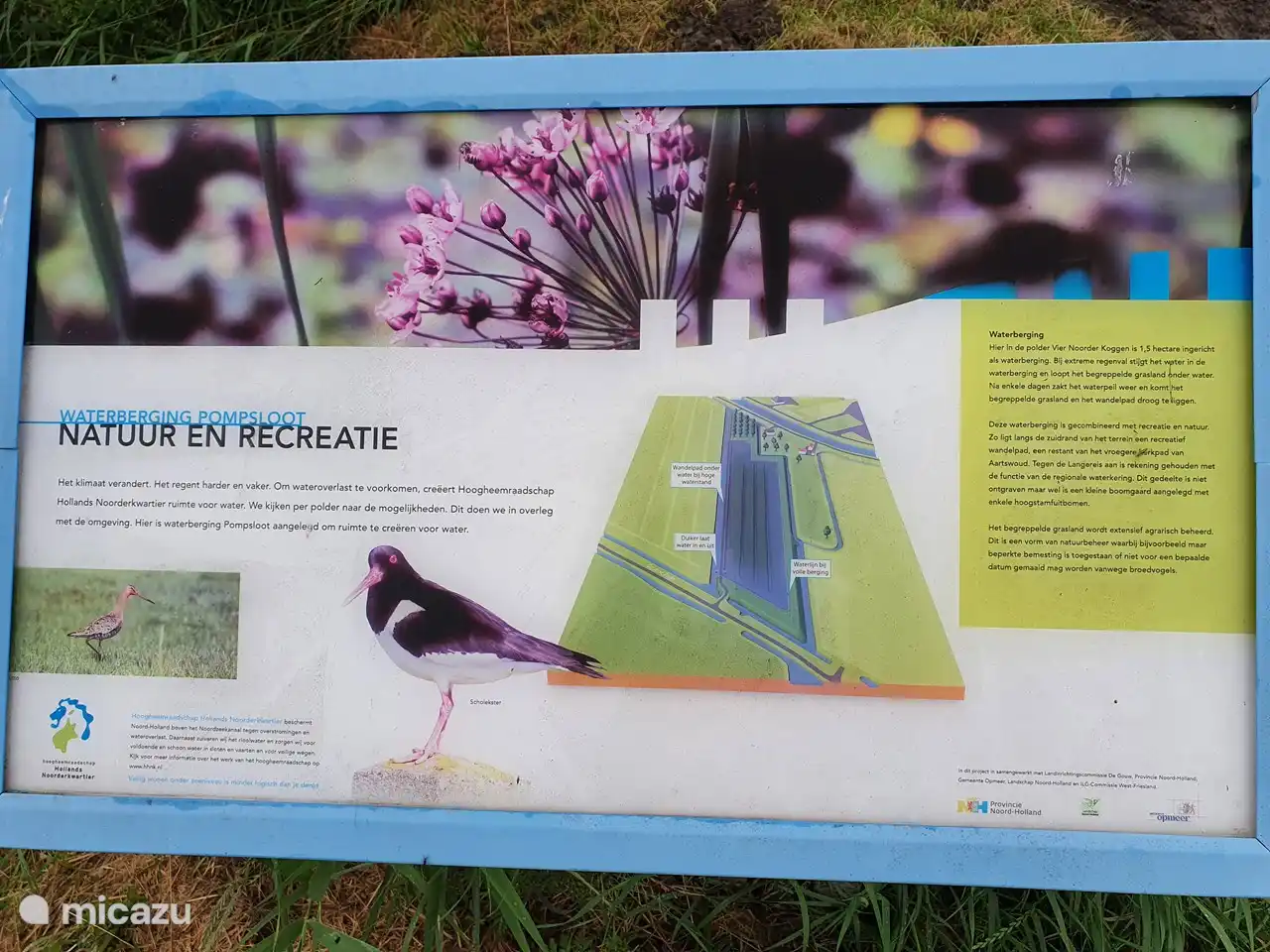 Naturerholung nebenan