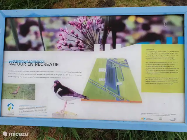 Location de Vacances Pays-Bas, Hollande du Nord, Hoogwoud, maison de vacances - Kloin maar Foin Loisirs nature à côté