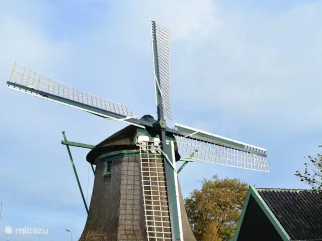 Location de Vacances Pays-Bas, Hollande du Nord, Hoogwoud, maison de vacances - Kloin maar Foin Le moulin de Hoogwoud
