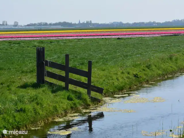 Location de Vacances Pays-Bas, Hollande du Nord, Hoogwoud, maison de vacances - Kloin maar Foin La campagne