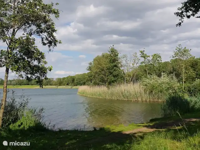 Bungalow forêt 93 | Pays-Bas, Gueldre, Ewijk - bungalow Le grand lac, juste à l’extérieur du parc