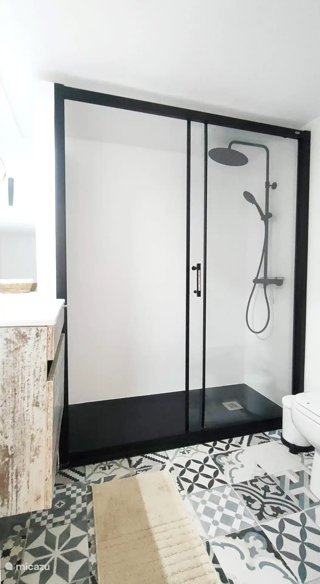 Grote inloopdouche met regendouchekop, toilet en wastafel op begane grond