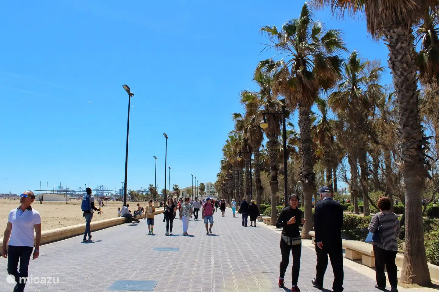 Boulevard bij haven Valencia