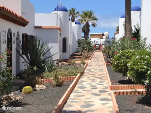 bungaló en España, Fuerteventura, Corralejo – Brisa del Mar Fuerteventura Resort de pequeña escala tiene solo 25 casas