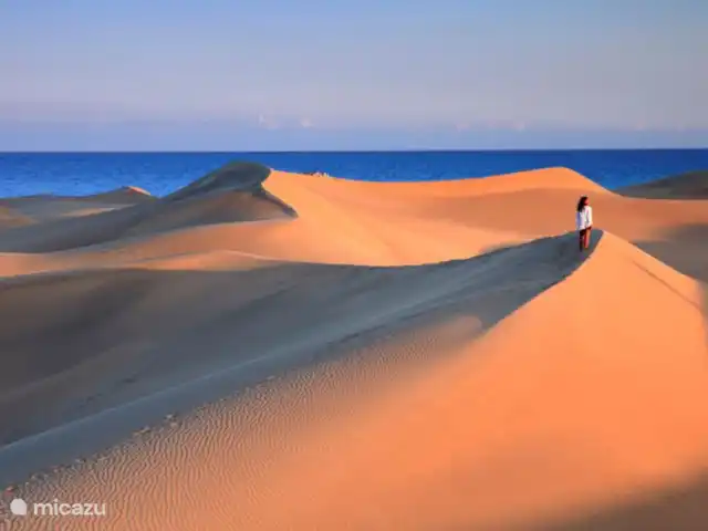 bungaló en España, Fuerteventura, Corralejo – Brisa del Mar Fuerteventura Hermosos efectos de luz y color de las dunas de arena y el mar azul celeste