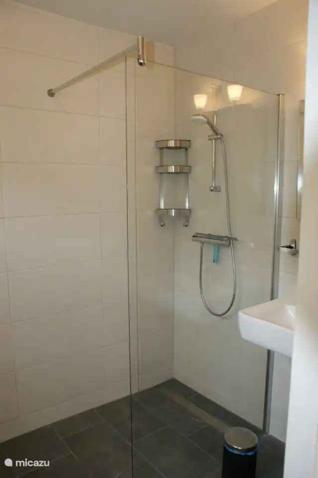 Eine ebenerdige Dusche und ein separates Waschbecken mit Spiegel.