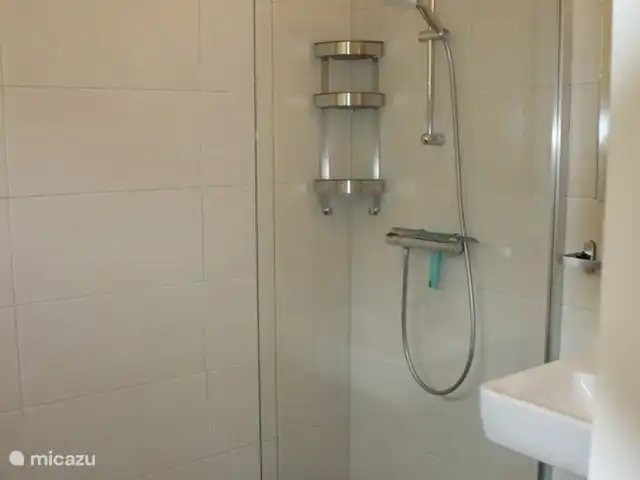 Casa de vacaciones Bos y Henk Achterhoek en Países Bajos, Güeldres, Halle - casa vacacional Una cabina de ducha y un lavabo separado con espejo.