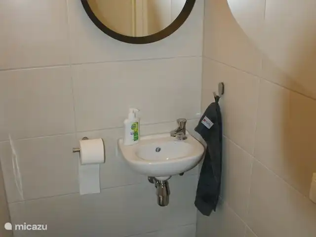 Casa de vacaciones Bos y Henk Achterhoek en Países Bajos, Güeldres, Halle - casa vacacional WC en la planta baja.