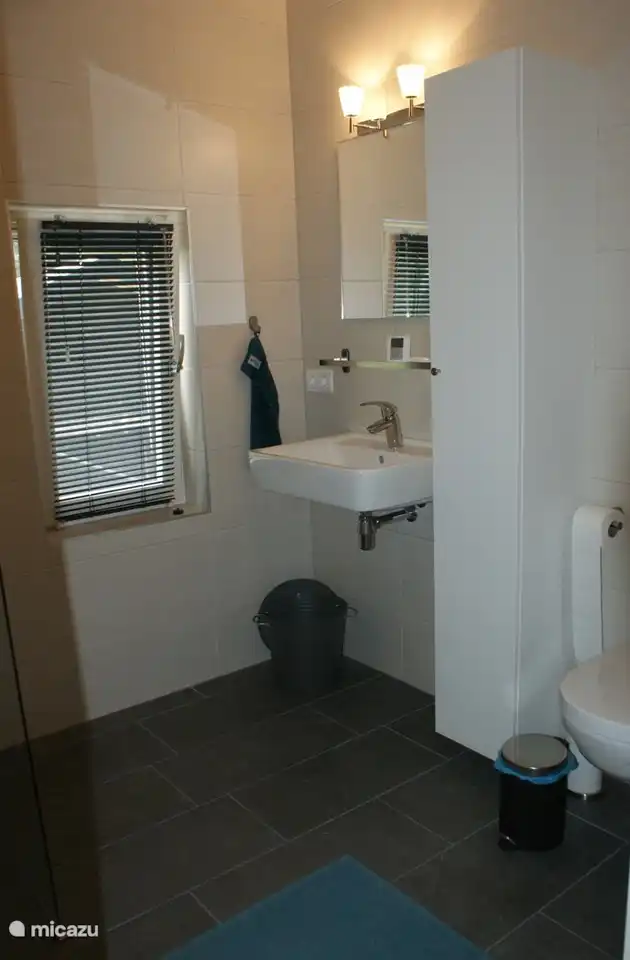 Badezimmer im Obergeschoss mit ebenerdiger Dusche, Waschbecken und Toilette. Schrank zum Aufbewahren von Toilettenartikeln.