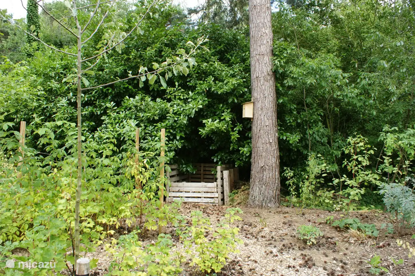 Wir laden unsere Gäste ein, die Grünabfälle (Schälchen, Kaffeesatz, Eierschalen) in die Komposttonne zu geben.