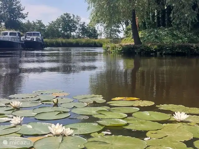 Hûske twa | Pays-Bas, Frise, Oudwoude - maison de vacances