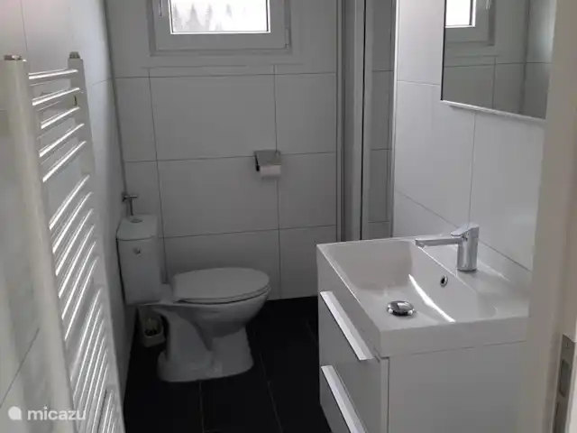 Chalet sur le Veluwemeer | Pays-Bas, Gueldre, Hulshorst (lac Veluwe) - chalet Salle de bain luxueuse avec meuble vasque et douche