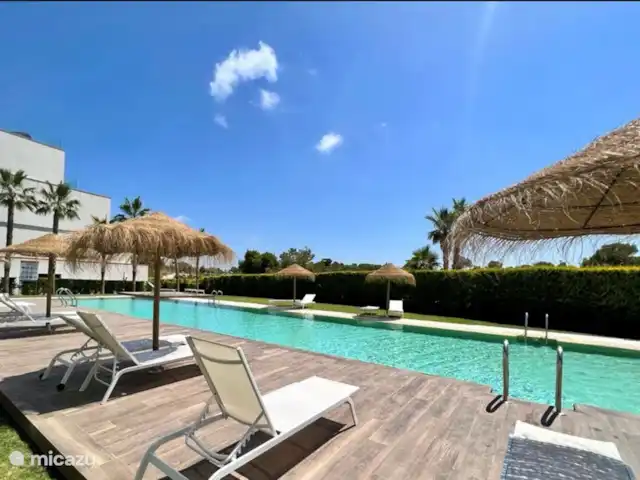 The Panoramic Penthouse huren in Spanje, Costa Blanca, Orihuela Costa - appartement het zwembad