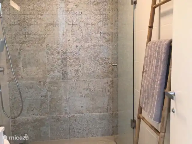 The Panoramic Penthouse huren in Spanje, Costa Blanca, Orihuela Costa - appartement Badkammer 2