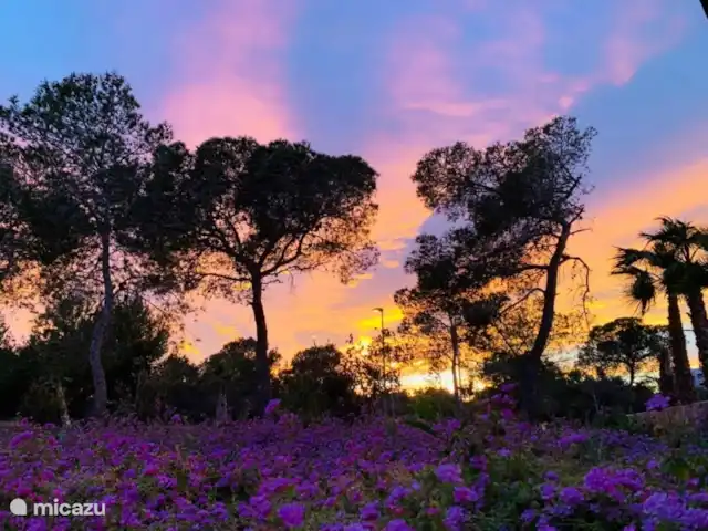 The Panoramic Penthouse huren in Spanje, Costa Blanca, Orihuela Costa - appartement Las Colinas