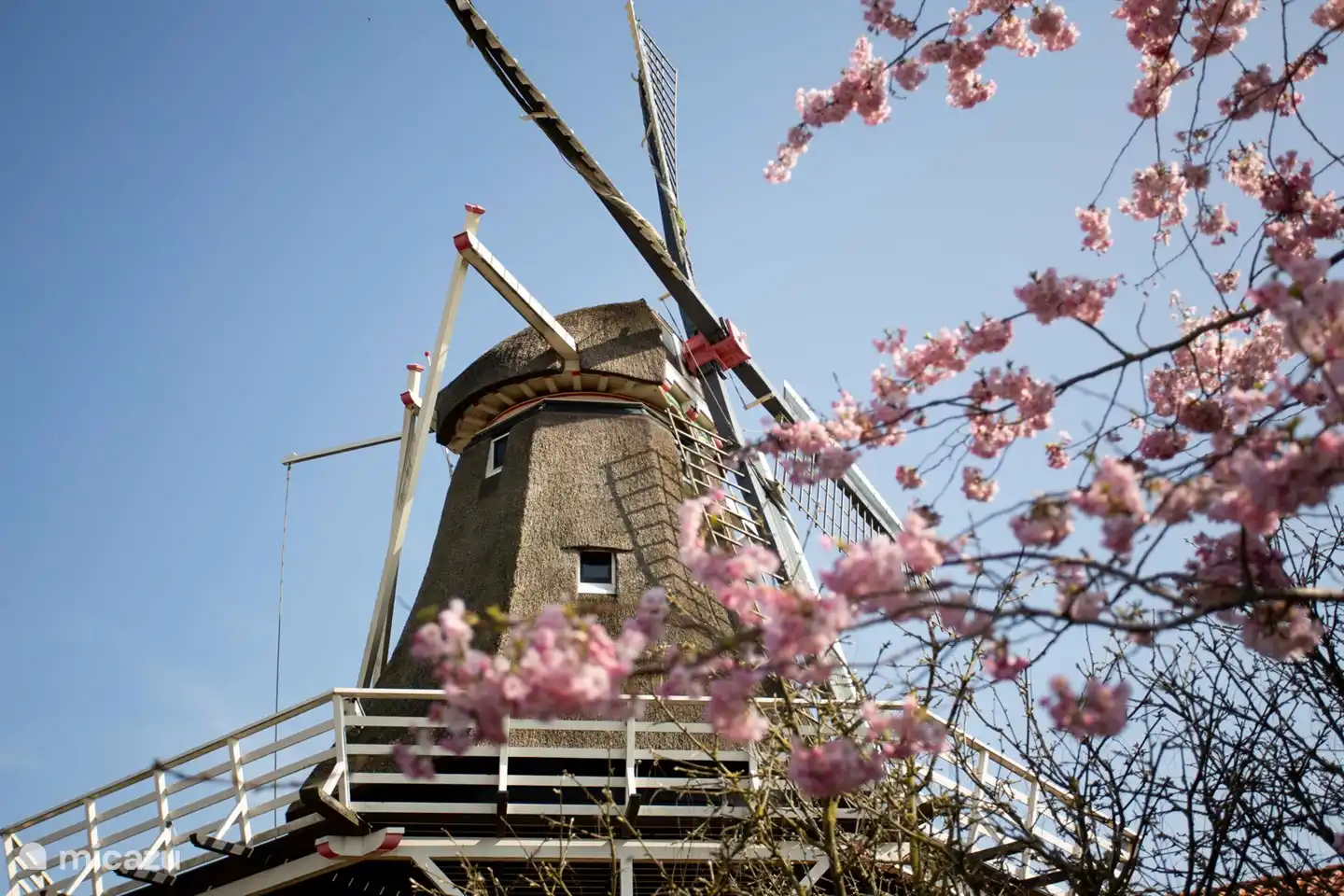 Beautiful routes for cycling, along windmills and bulb countries