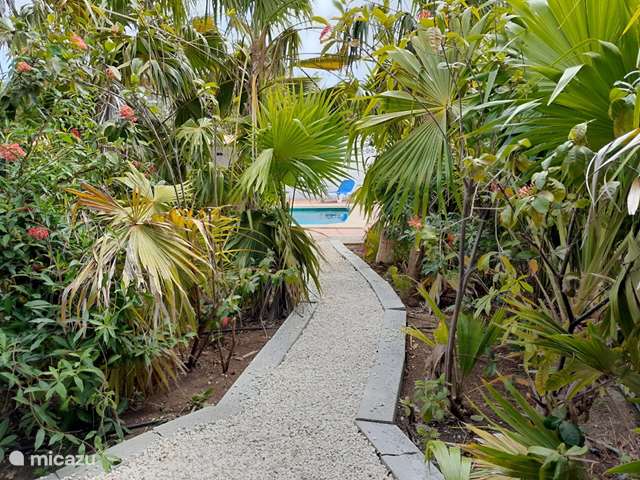 Vakantiehuis Curaçao, Curacao-Midden, Julianadorp - studio Kas di Ala Studio Kolibrie, zwembad