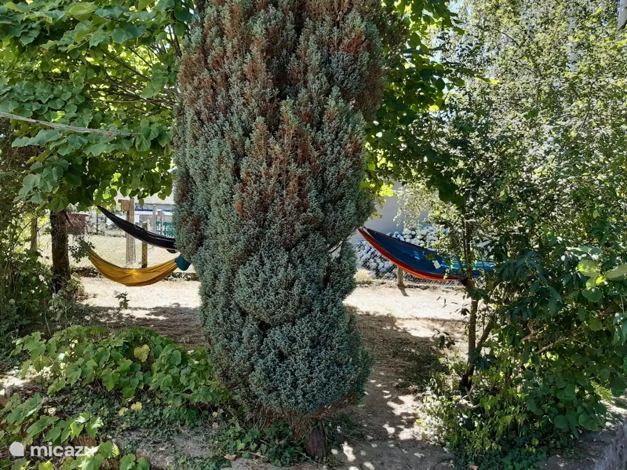 Hängematten im Garten